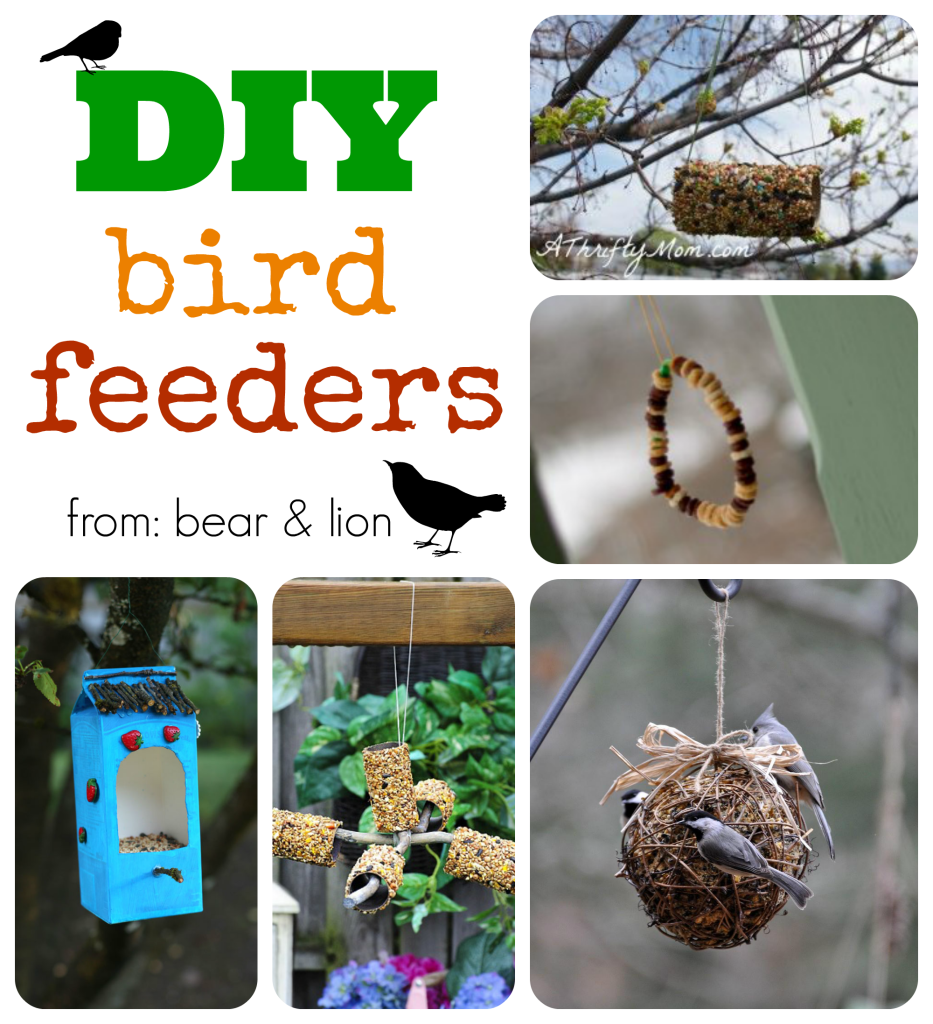 Diy Bird Feeder Round Up