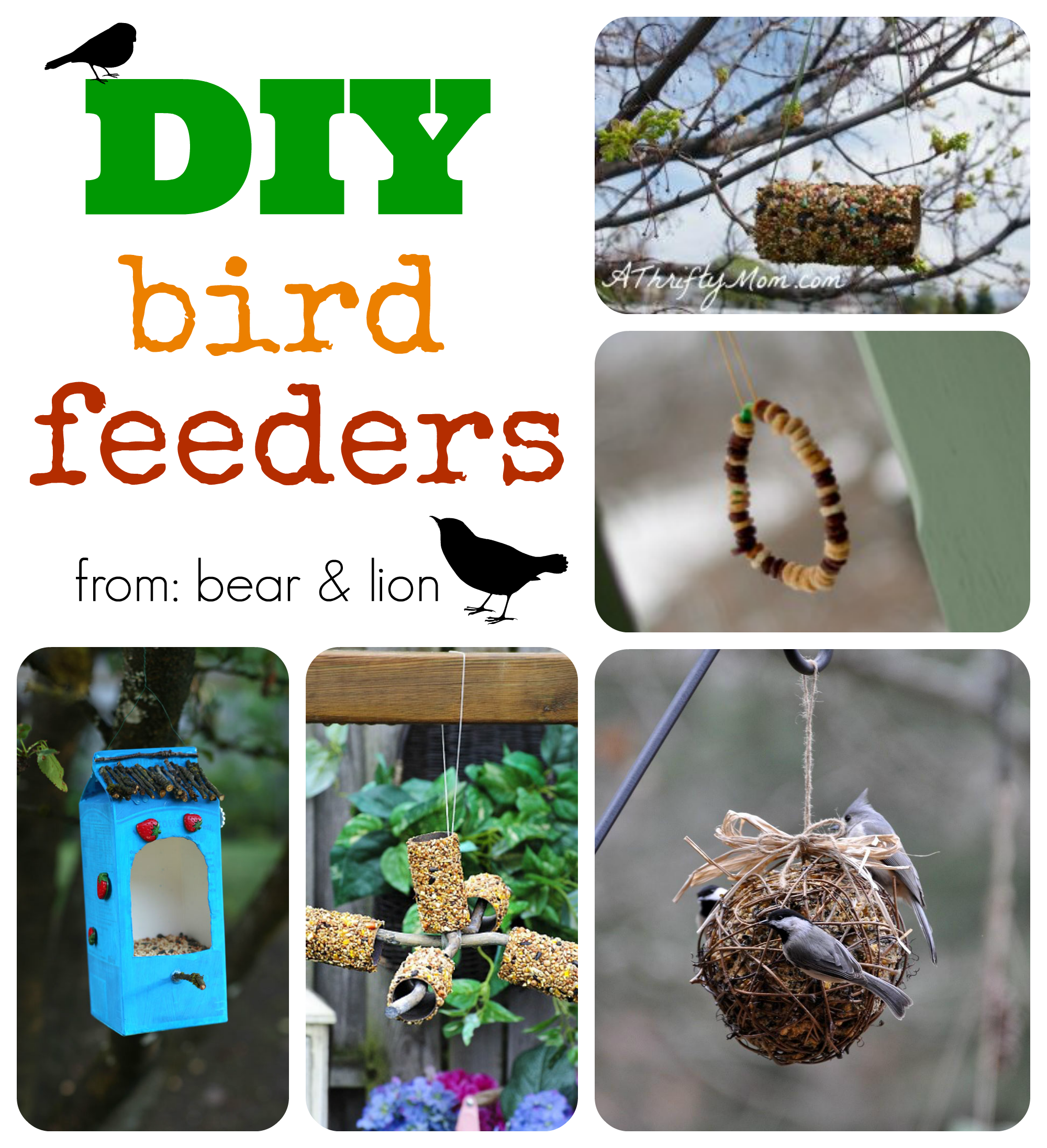 bird feeder designs for students