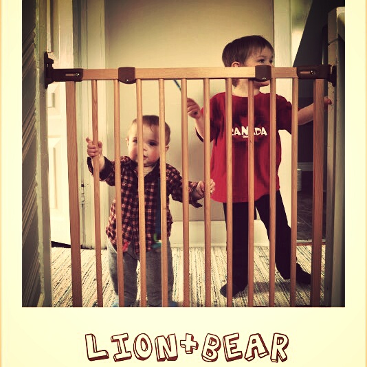 lion & bear
